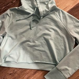 Gym shark cropped hoodie